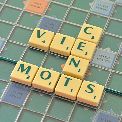 0.100.mots.JPG