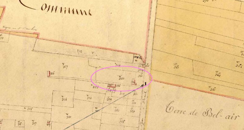 Extrait du plan cadastral avec les propriétés de Benoît Branciard