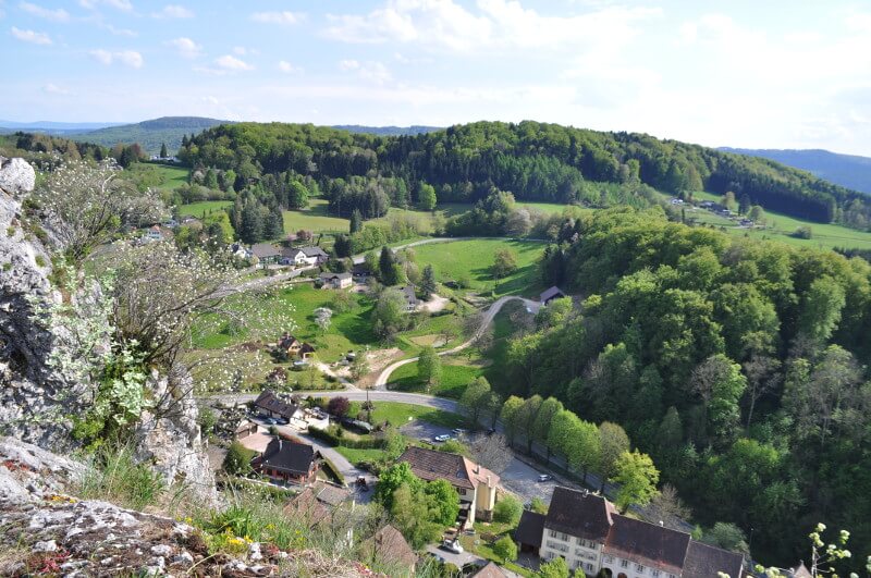 Forêts autour de Ferrette